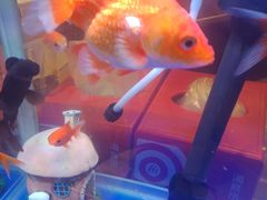 -凯德广场(武胜路店)