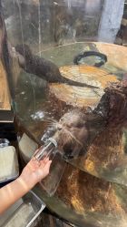 -Zoolung Zoolung动物主题公园(海信广场店)