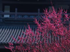 -范蠡湖公园