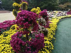 -上海市龙华烈士陵园