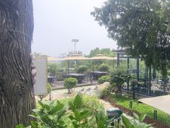 -蘇河湾·新鲁菜·泰山宴(泰山店)