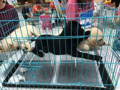 -方恒购物中心(望京小街店)