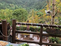 -楠柏弯休闲山庄(梨花溪店)