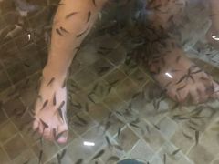 -中家鑫园温泉酒店鑫悦汤泉