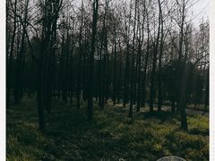 -上海山野camping·户外天幕烧烤·团建拓展营地