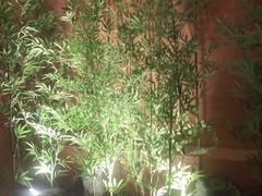 -初蓉丨遇见新川菜(亲贤街荣耀店)