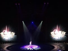 -珠海横琴长隆《卡卡虎奇遇记》