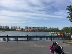 -上海长兴岛郊野公园