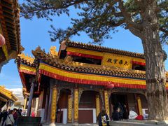 -五台山风景名胜区