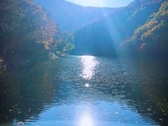 -龙道沟景区