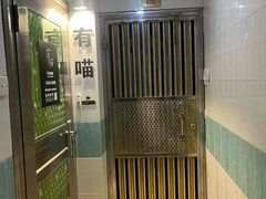 -有喵·猫咖·狗咖·30几只猫10只小狗(岗厦店)