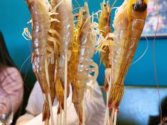 深水虾-东海怡品海鲜豆捞(舟宿夜江店)