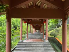 -广州神农草堂中医药博物馆