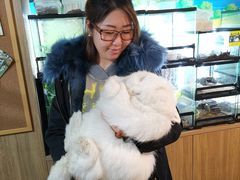 -藦茜花园宠物主题亲子互动体验馆(国顺东路店)