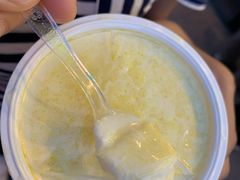 -德禄酸奶(莫家街店)