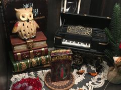 -雪灵魔法世界SHELLY’S TAROT(大良桂畔里店)