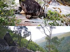 -海南霸王岭国家森林公园