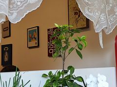 -72 COFFEE(东朝阳路店)