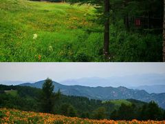 -驼梁风景区