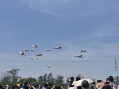 -盐城丹顶鹤湿地生态旅游区