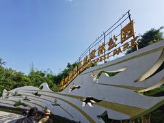 -西双版纳原始森林公园