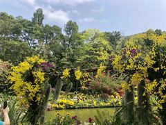 -深圳仙湖植物园