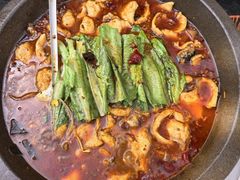 -都江堰石锅鱼