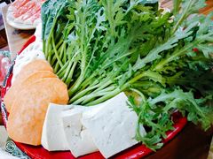 -东镇老火锅(长春路首店)