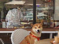 -Peet's Coffee皮爷咖啡(大学路店)