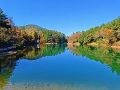 -四明山国家森林公园