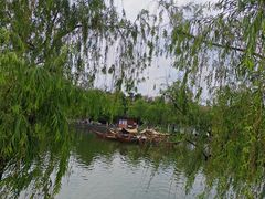 -翠湖公园