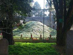 -武侯墓风景区