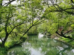 -西溪国家湿地公园