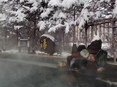 -汉拿山温泉度假酒店