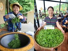 -极光口腔·矫正种植修复(锦江店)