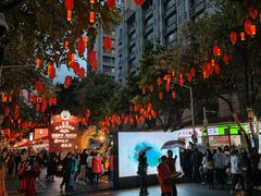 -越秀西湖花市(广州城市广场花卉店)