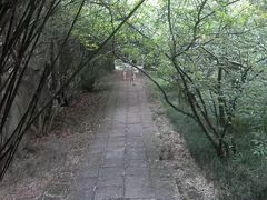 -富乐山