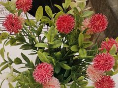 -全聚德烤鸭店(和平路店)