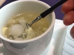-诺莱仕游艇会