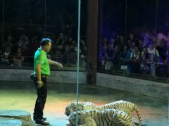 -清迈夜间动物园