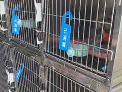 -北京观赏动物医院·24小时大型综合·猫专科·异宠专科