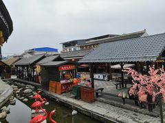 -茯茶镇