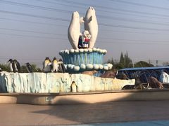 -芜湖新华联大白鲸海洋公园