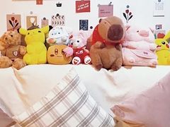 -骆驼日式搬家收纳整理