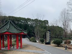 -九科绿洲