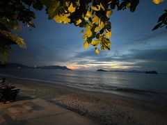 -Scarborough Fish & Chips- Tanjung Rhu