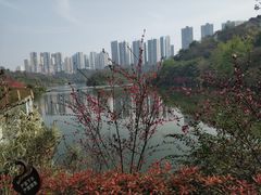 -重庆彩云湖湿地公园
