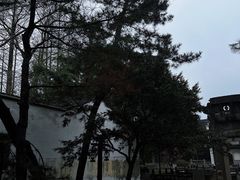-乌镇景区