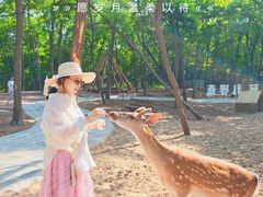 -南戴河国际娱乐中心