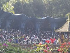 -西双版纳原始森林公园